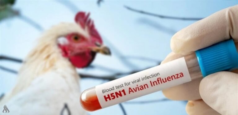 أميركا-أول-وفاة-بسلالة-نادرة-من-إنفلونزا-الطيور.jpg